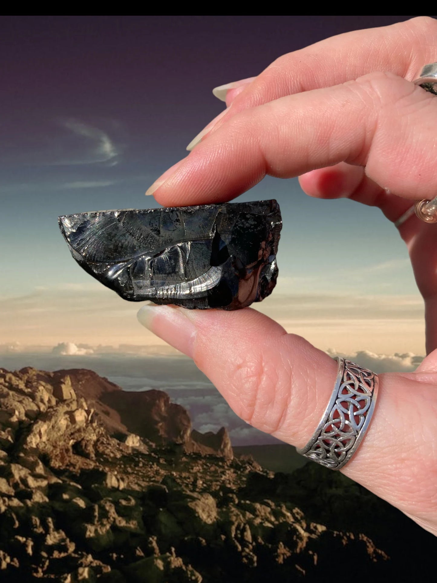 Raw Shungite Pieces Earth Energy