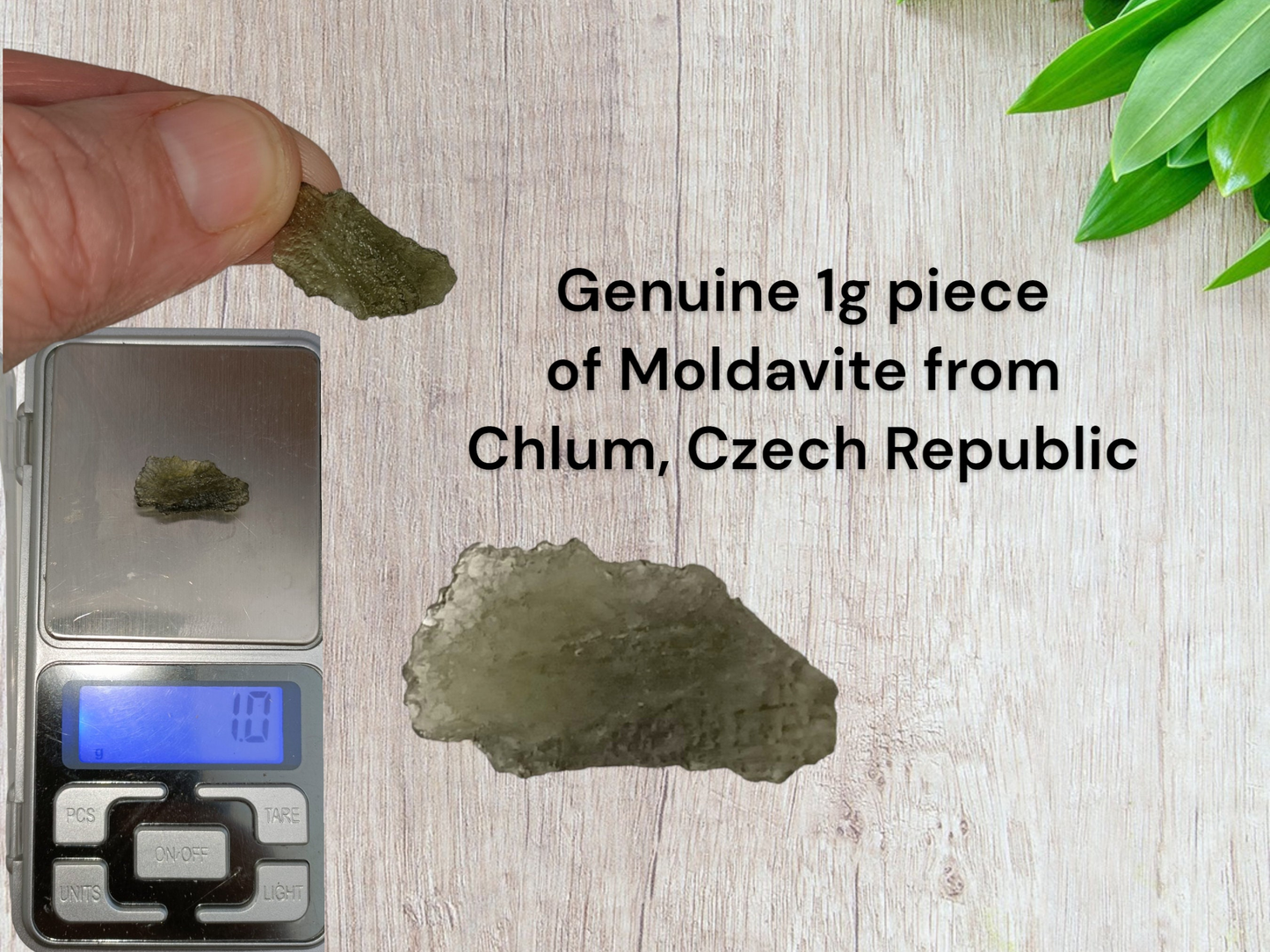 Genuine 1g Moldavite from Chlum, Czech Republic Stone of Transformation