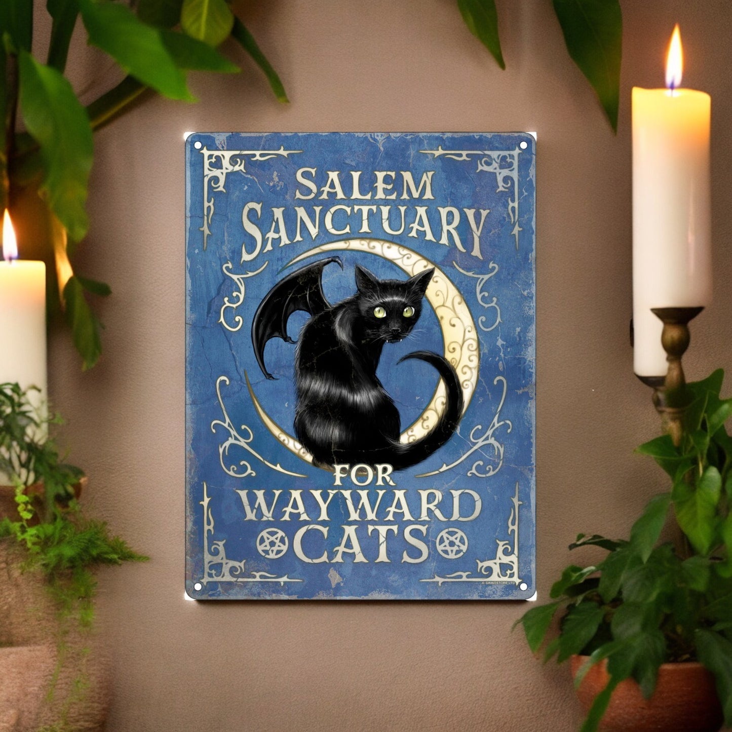 Salem sanctuary for wayward cats - Metal tin sign with a black cat familiar