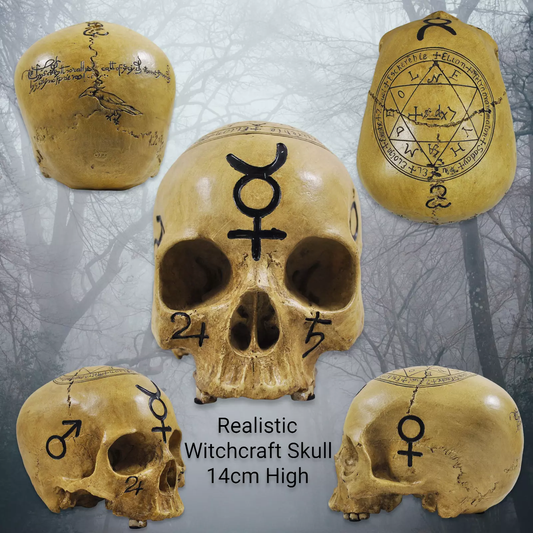 Realistic Witches' Skull Witchcraft Witches Witch Ornament