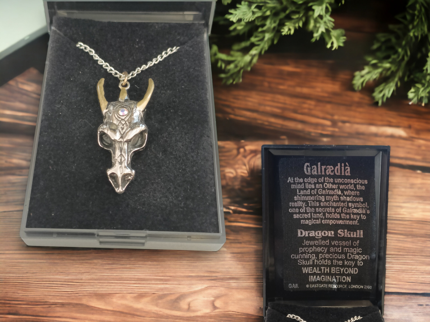 Dragon Skull Pendant Gift Boxed by Galraedia