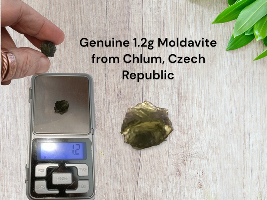 Genuine 1.2g Moldavite from Chlum, Czech Republic Stone of Transformation