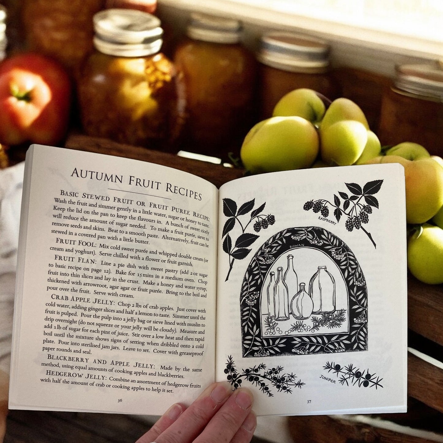 A Hedgerow Cookbook -Small paperback book by Glennie Kindred.