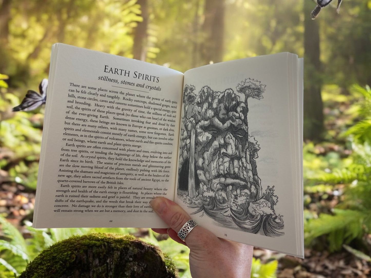 Nature Spirits - Wyrd lore and wild fey magic small paperback book by Danu Forest.