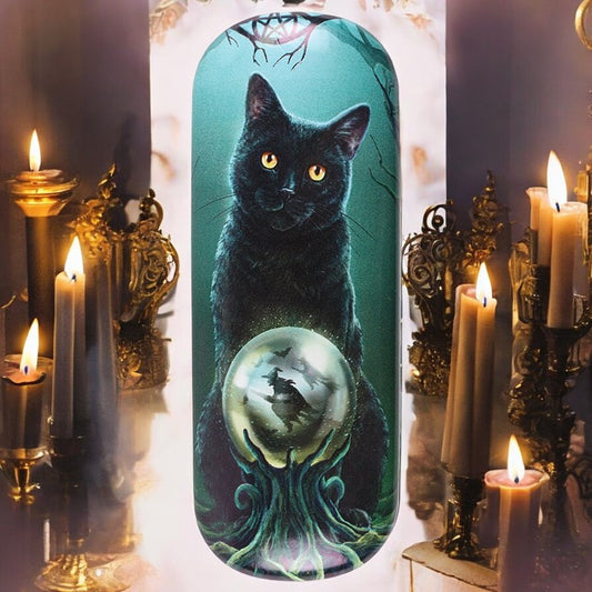 Rise of the Witches' black cat and crystal ball glasses case - Artwork by Lisa Parker