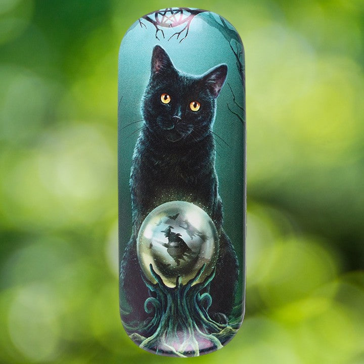 Rise of the Witches' black cat and crystal ball glasses case - Artwork by Lisa Parker