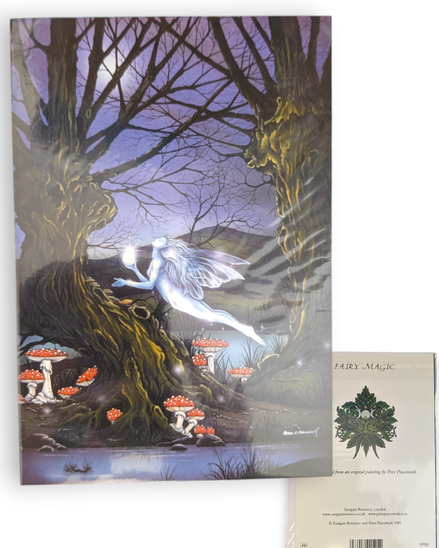 Fairy Magic Fantasy Art Greeting Card by Peter Pracownik