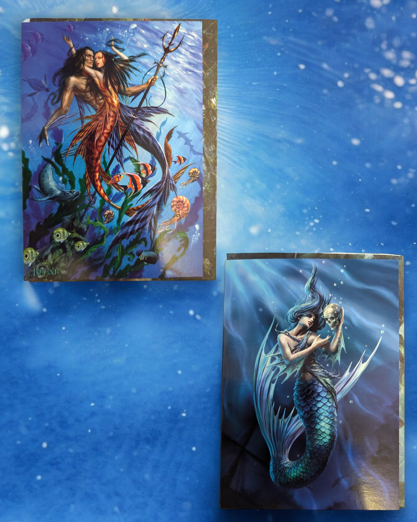 Fantasy Art Cards Mermaids & Mermen Merfolk Briar and Anne Stokes