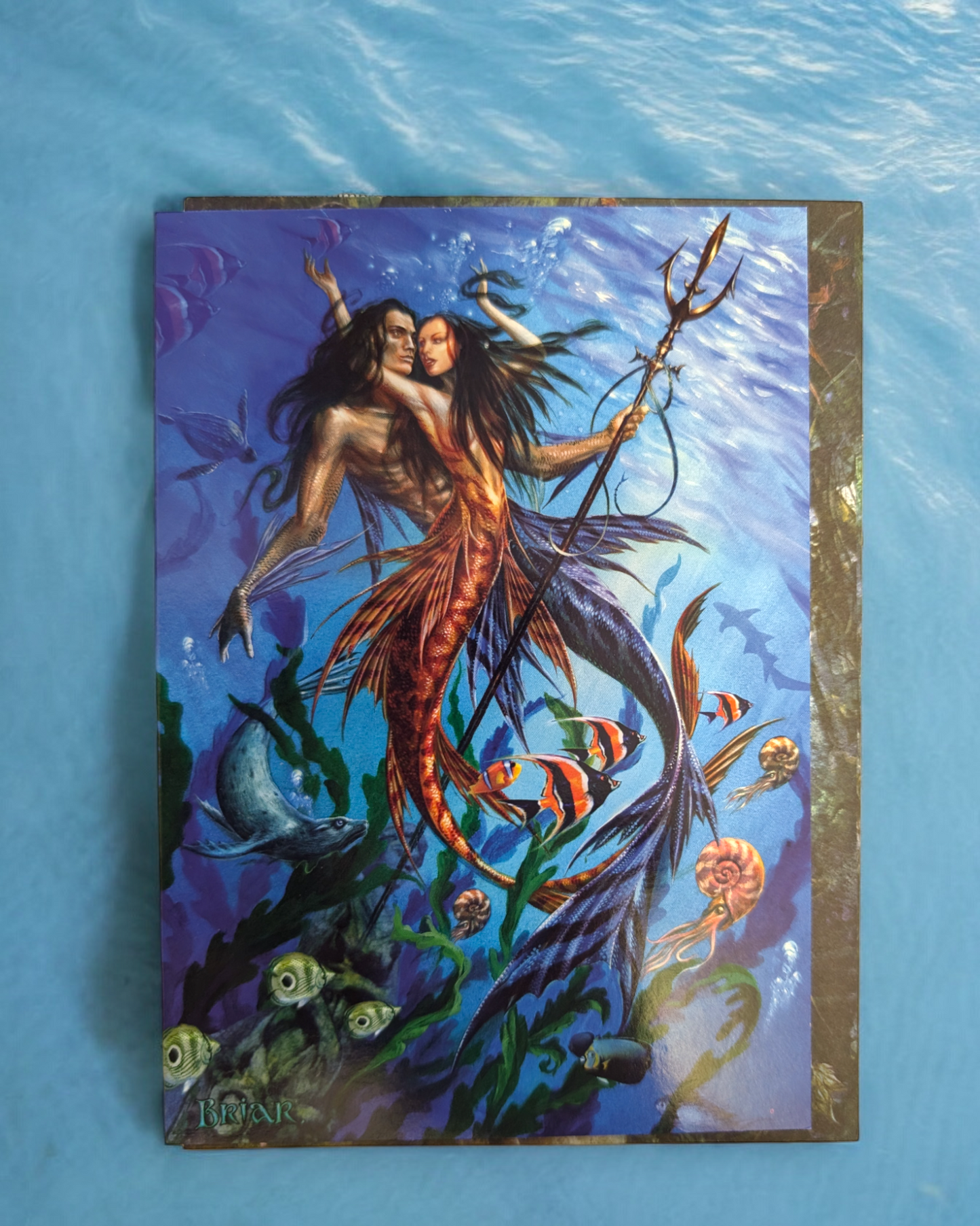 Fantasy Art Cards Mermaids & Mermen Merfolk Briar and Anne Stokes