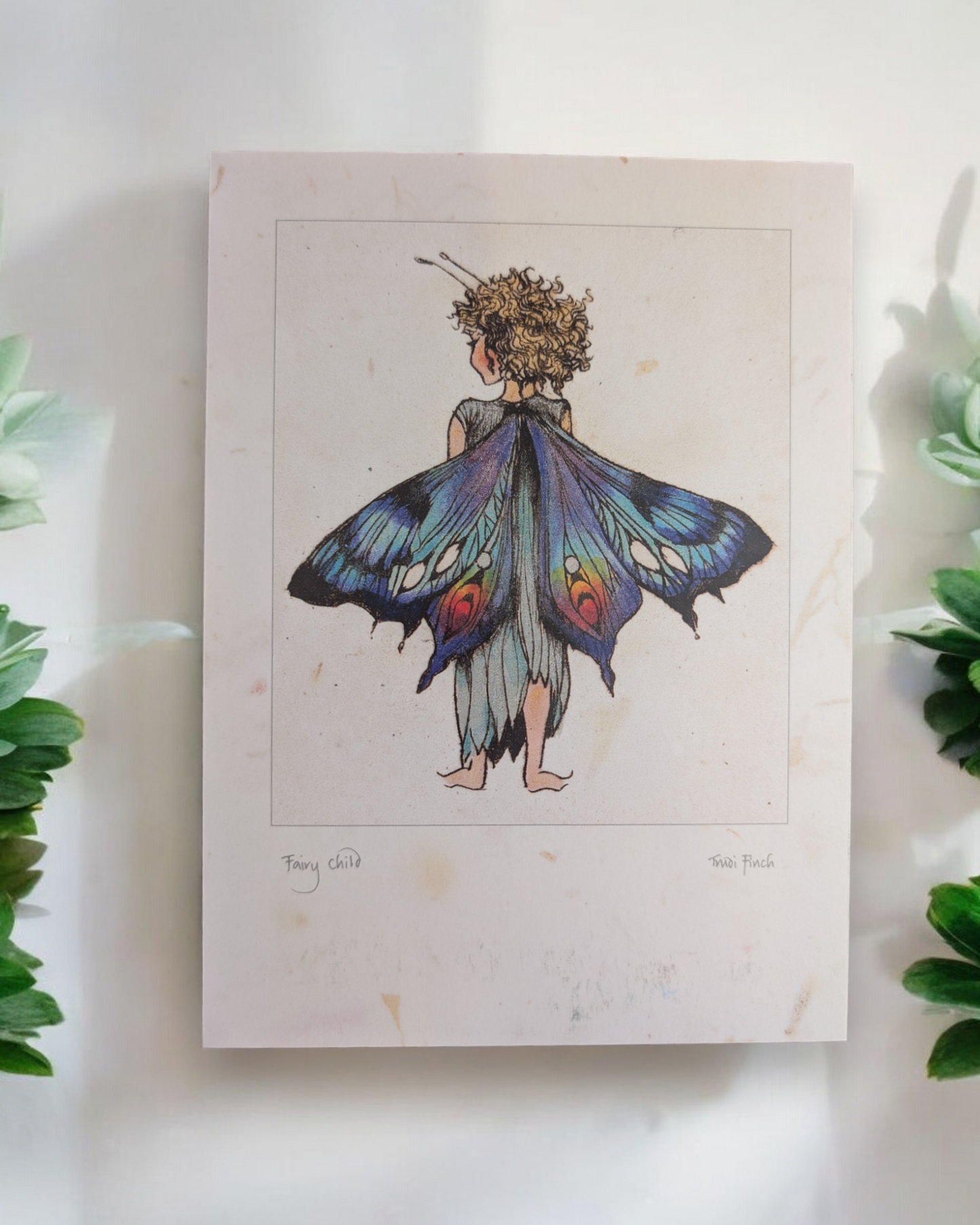 Trudi Finch Fairy Art Greeting Cards