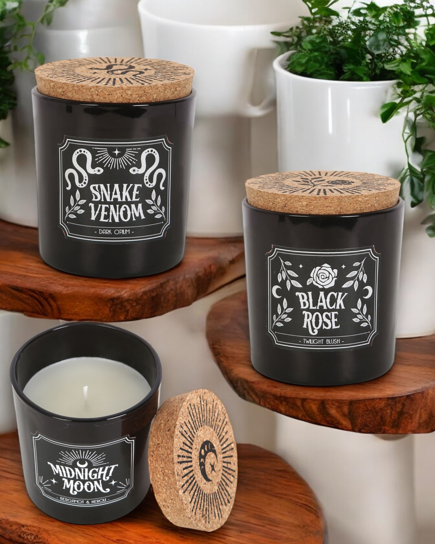 Midnight Rituals Candles