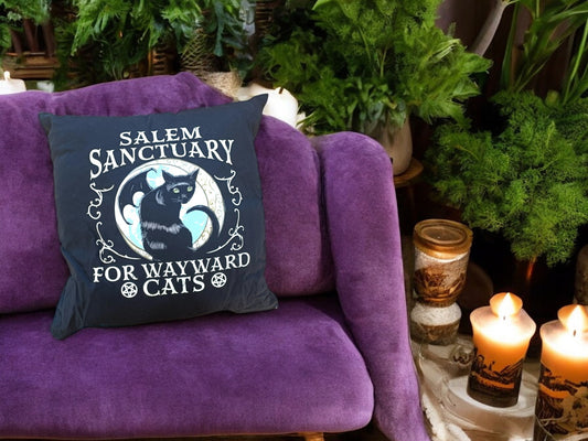 Salem Sanctuary For Wayward Cats Black Cat cushion