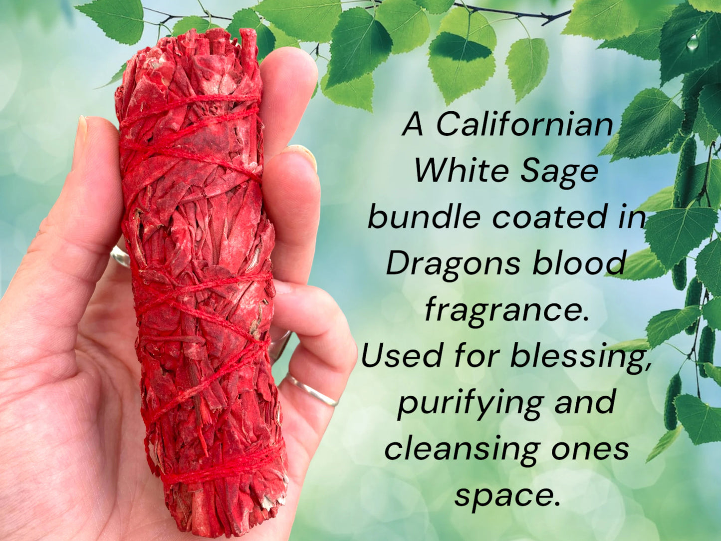 Californian White Sage with Dragons Blood smudging cleansing stick