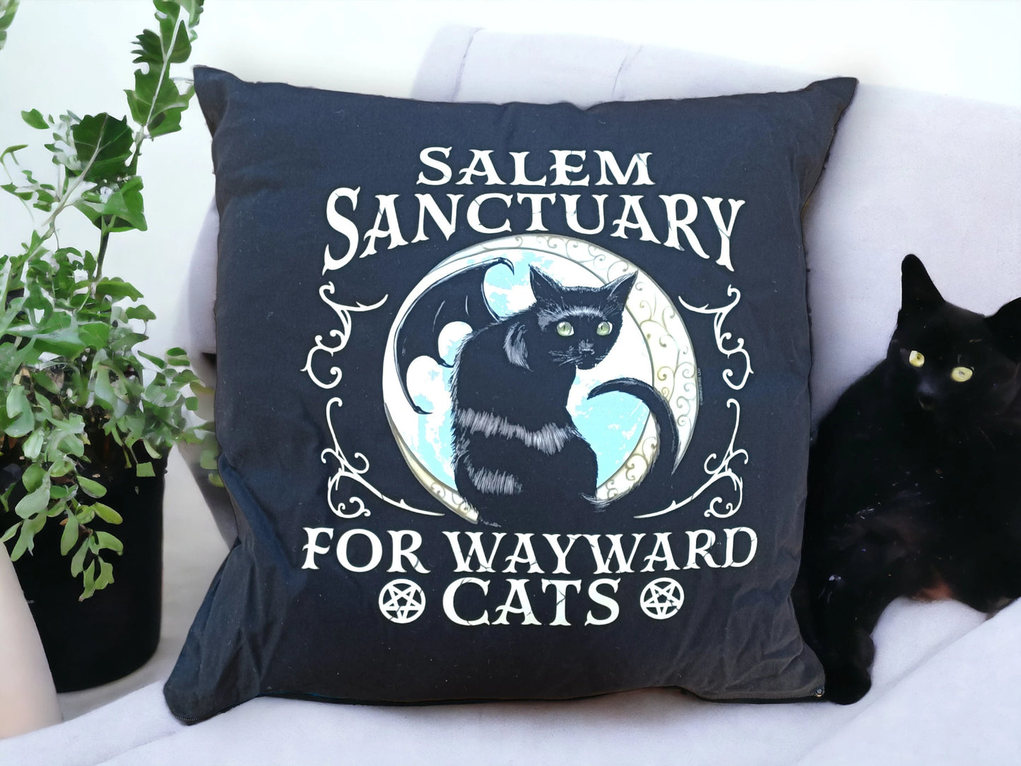 Salem Sanctuary For Wayward Cats Black Cat cushion