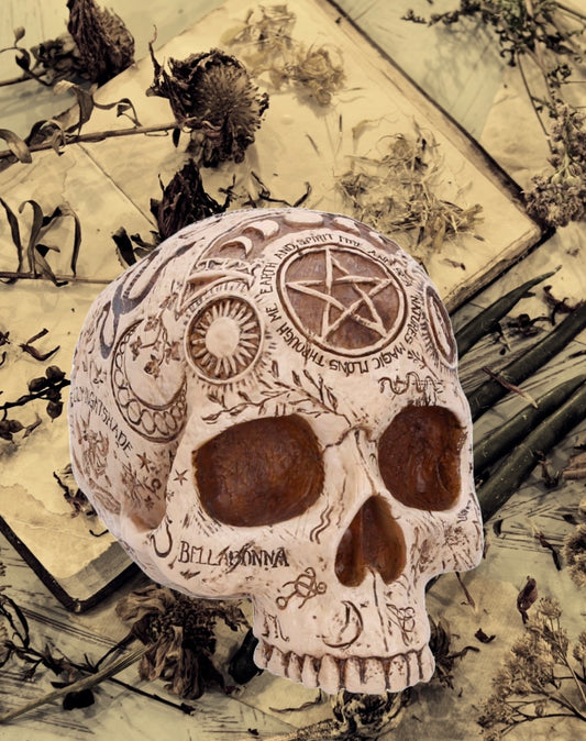 Apothecary Skull