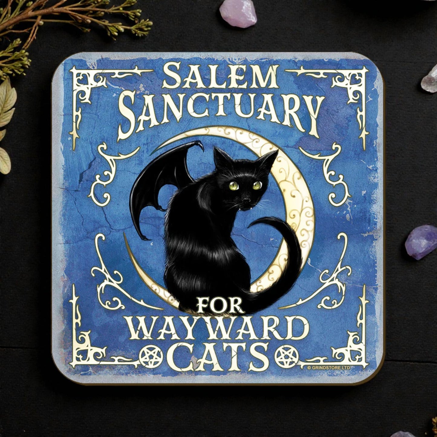 Salem Sanctuary Cat Coaster Feline Witchy Pagan Gift Alternative Present Tea Coffee