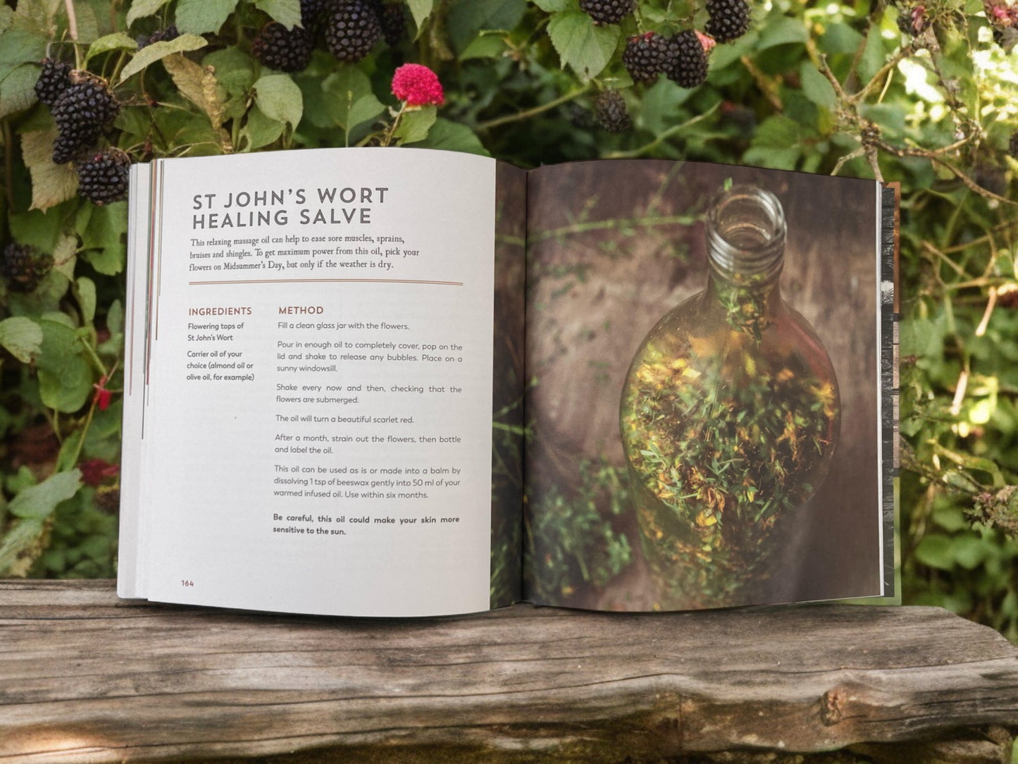 The Hedgerow Apothecary hardback book by Christine Iverson.