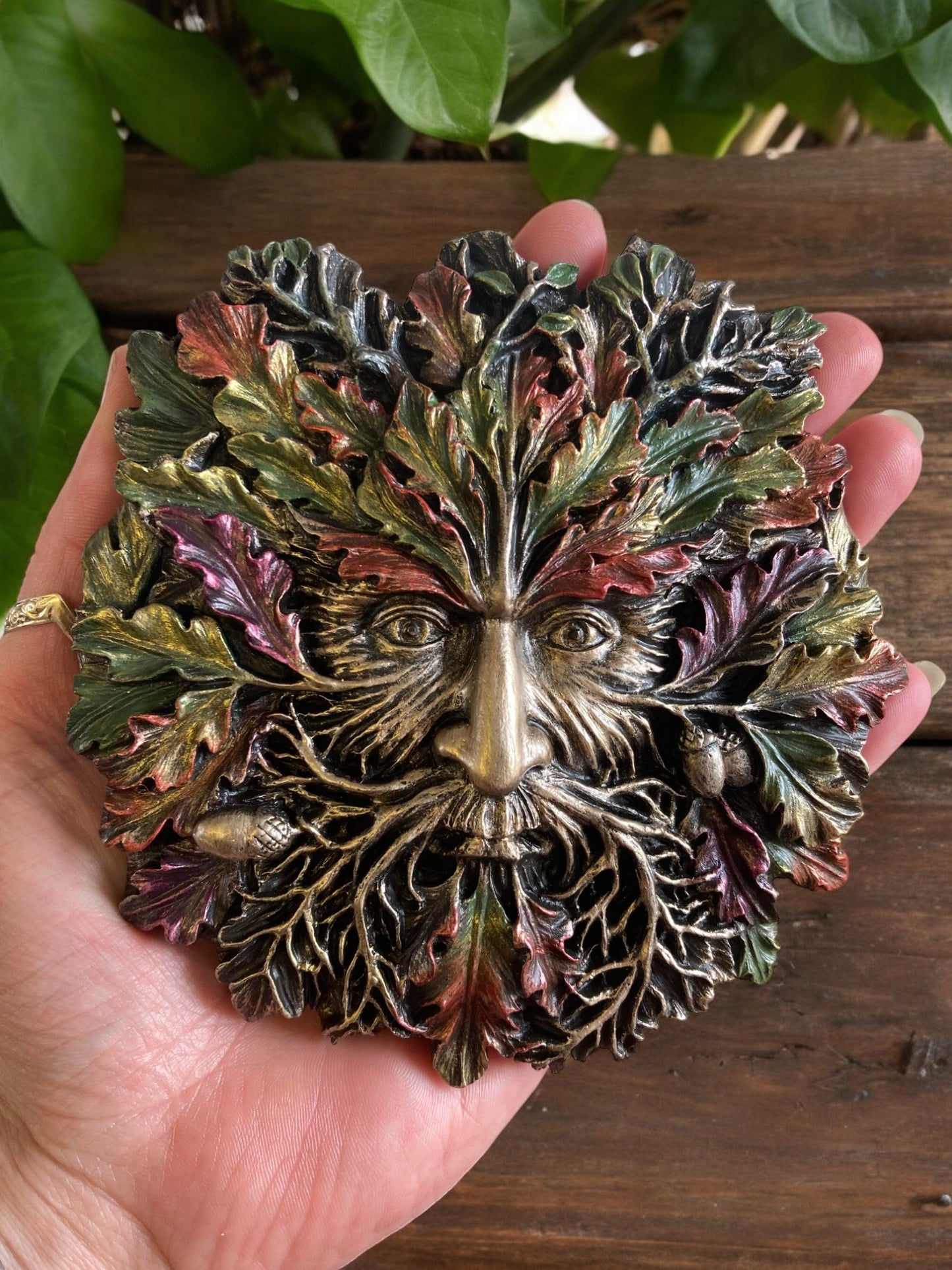 Quercus Greenman Garden or home wall plaque